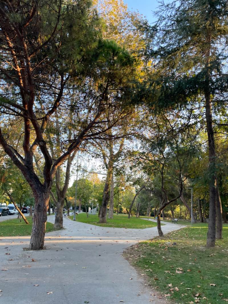 walking near me in Taksim Gezi Parkı in winter