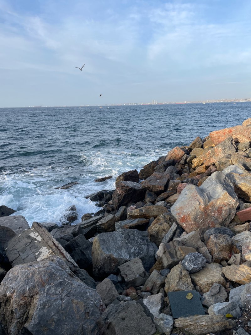 walking near me in Yoğurçu Park in winter