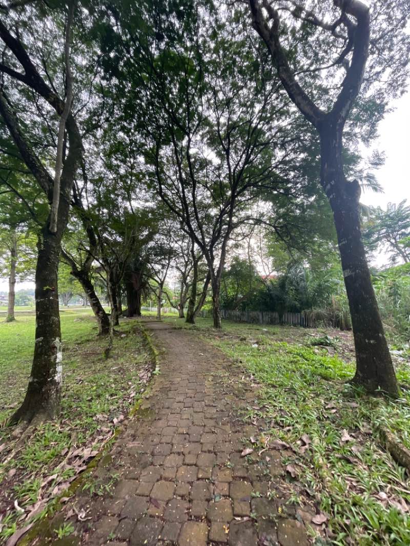 walking near me in Taman Rekreasi Bandar Baru Sungai Buluh in winter