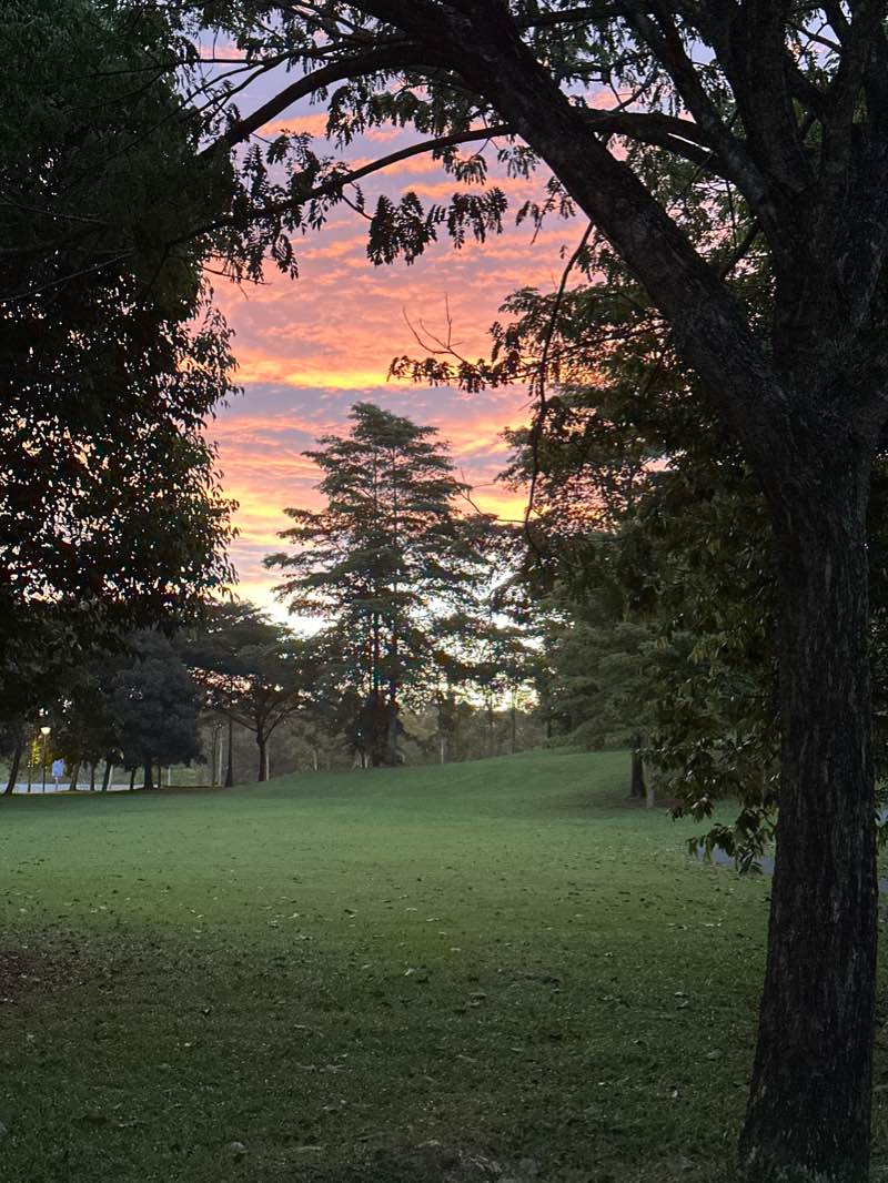 walking near me in BSC Park in winter