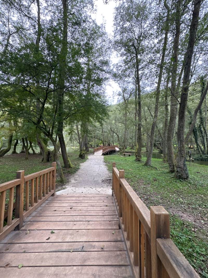 walking near me in Vrelo Bosne in autumn