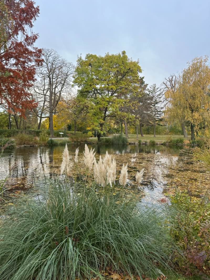 walking near me in Rathauspark in autumn