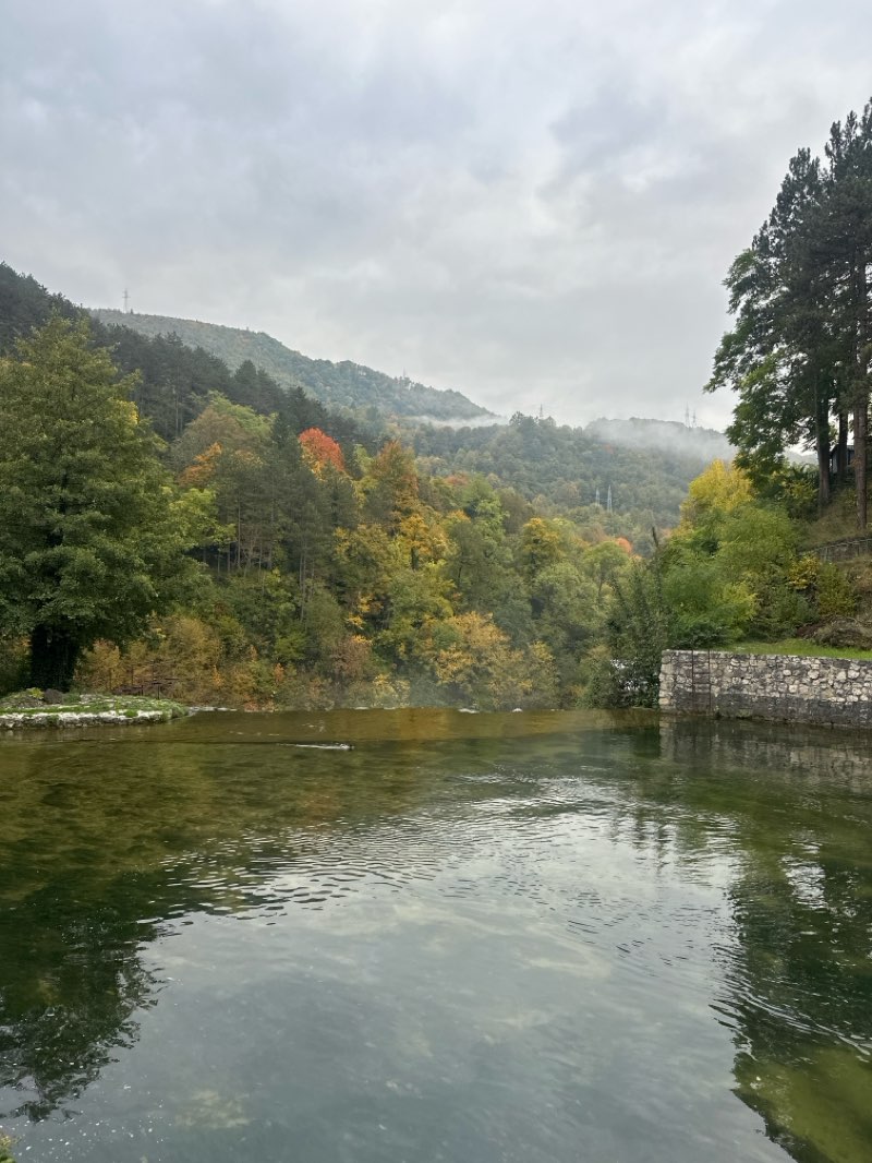 walking near me in Gradski park in autumn