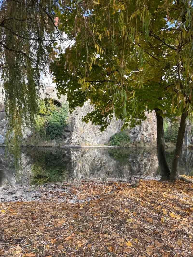 walking near me in Jelení zahrada in autumn