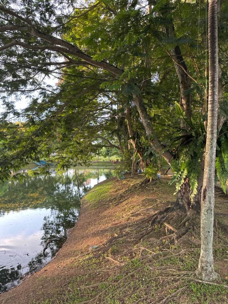 walking near me in Upcycle Park in spring