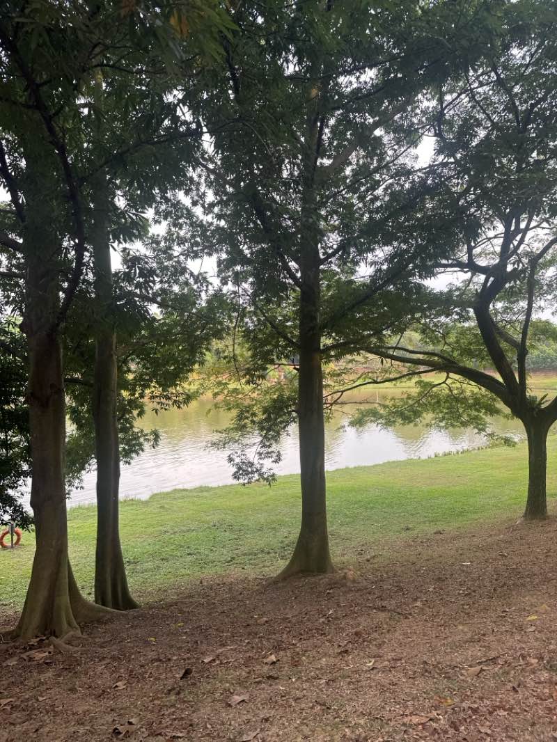 walking near me in BSC Park in autumn