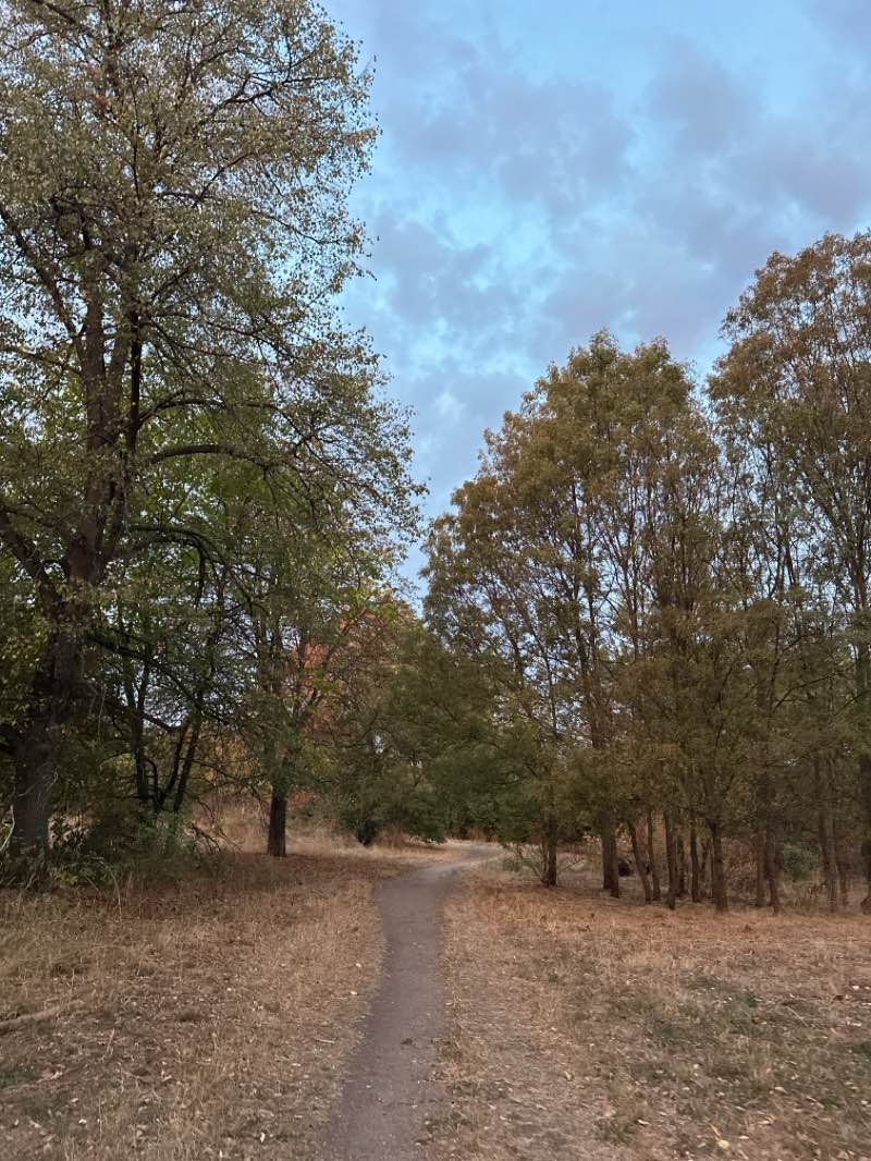 walking near me in Park Slaviya in autumn