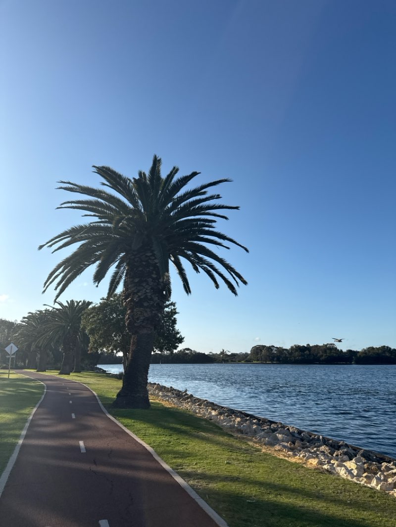 walking near me in Langley Park in spring