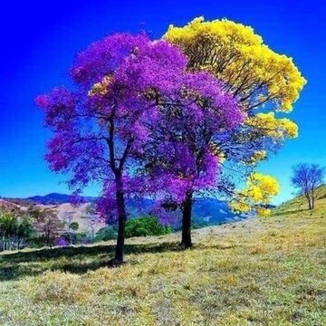 Phagwara Pacers Kuldip Parmar post image