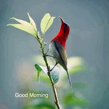 Phagwara Pacers Kuldip Parmar post image