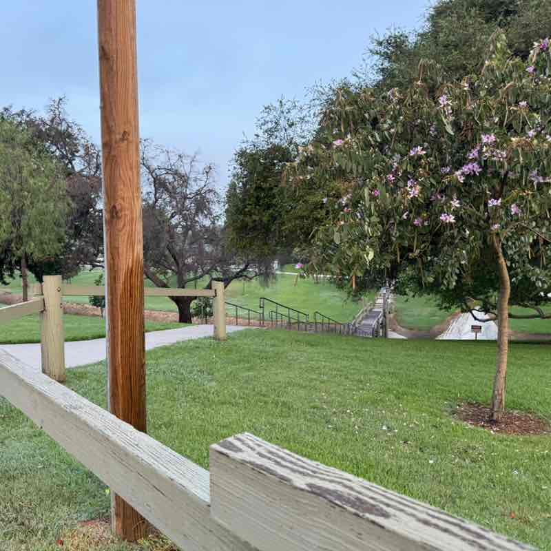 PacerGal_1976 post 1