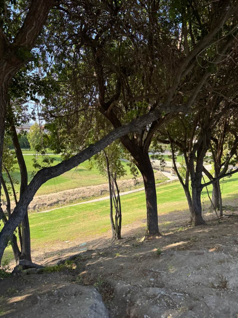 walking near me in Creek Park in summer