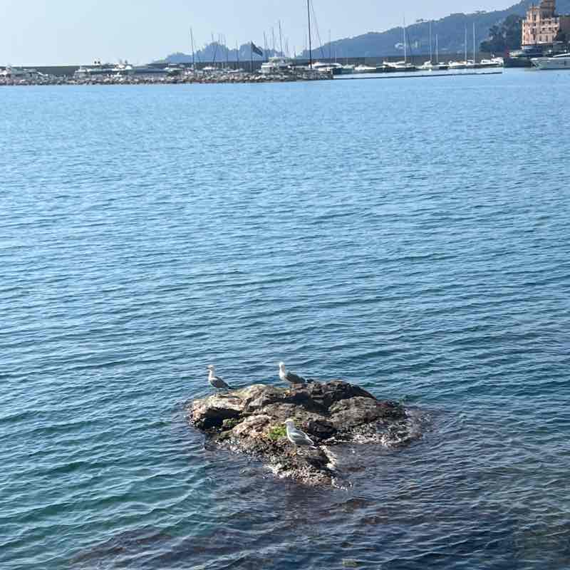 Tamy74 🇮🇹 post 1