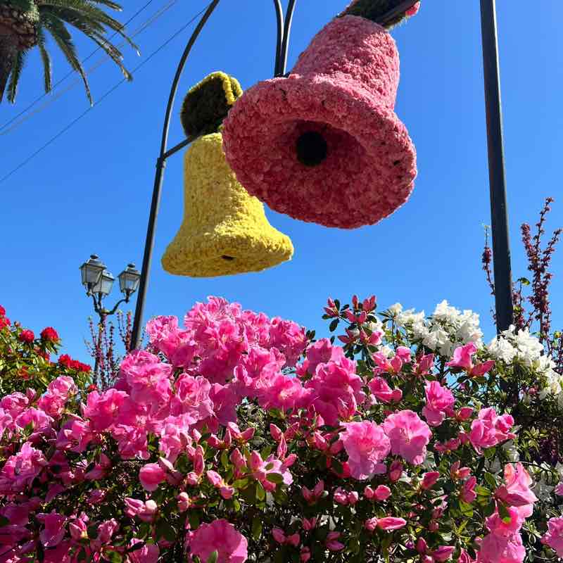 Tamy74 🇮🇹 post 1