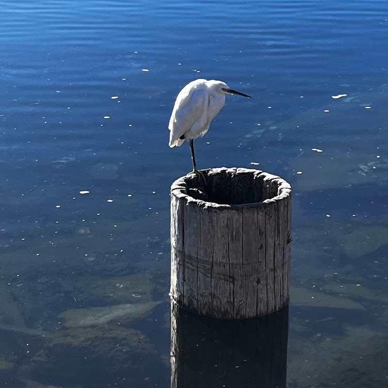 M27🥊🤍👣 post 3