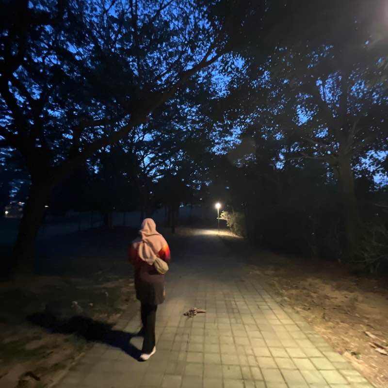 нур Азми post 1