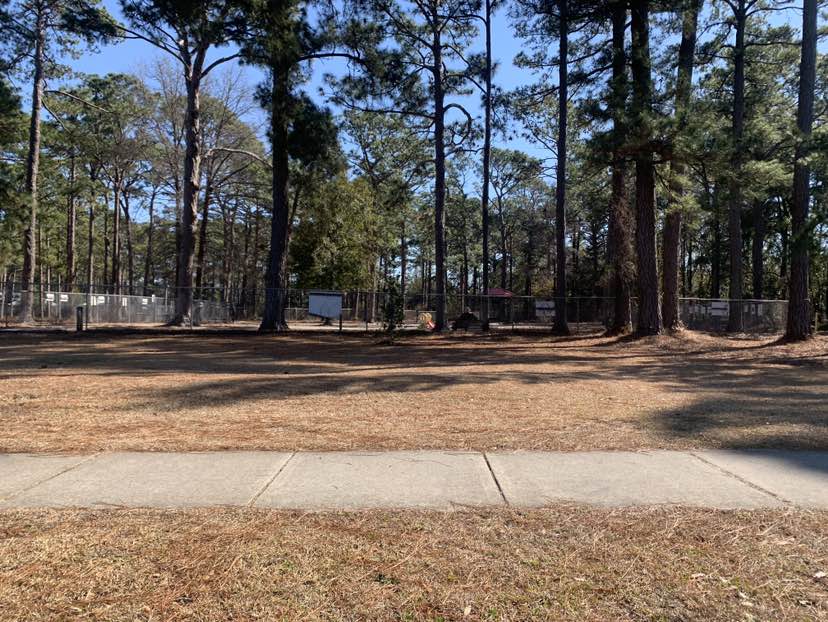 walking near me in Virginia Pearson Empie Park in winter