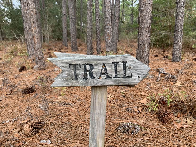 walking near me in Battle of Forks' Civil War Battlefield Park in winter