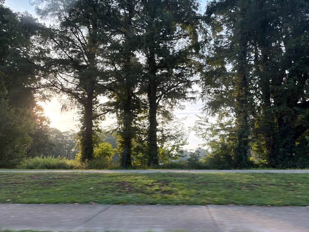 walking near me in Greenfield Park in summer