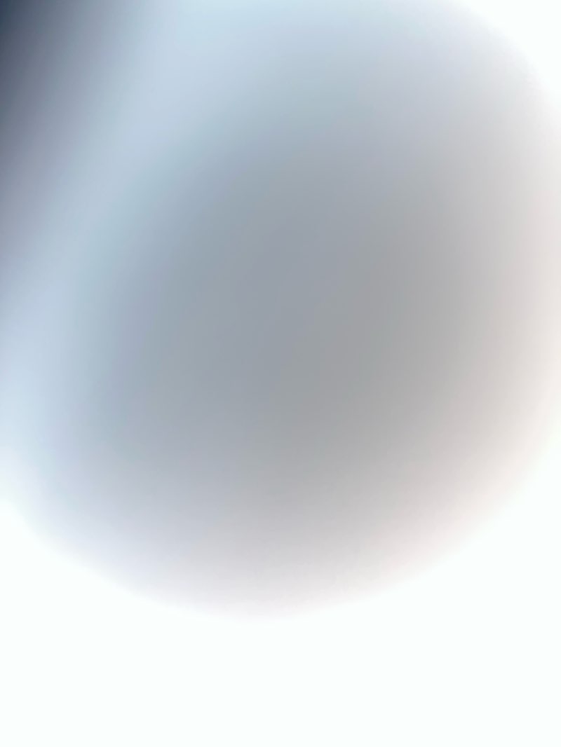 walking near me in Parco Regina Margherita in winter