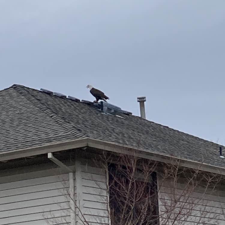 Portlandia Bradley post image