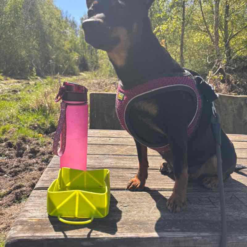 Mia post 1