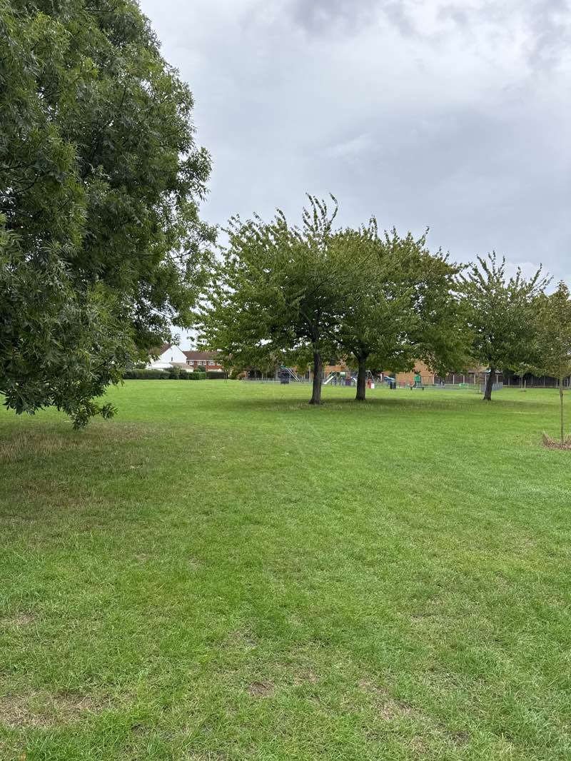 walking near me in Hunters Way Play Area in autumn