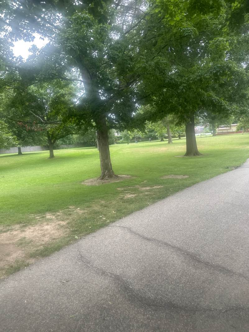 walking near me in Lakewood Park in summer