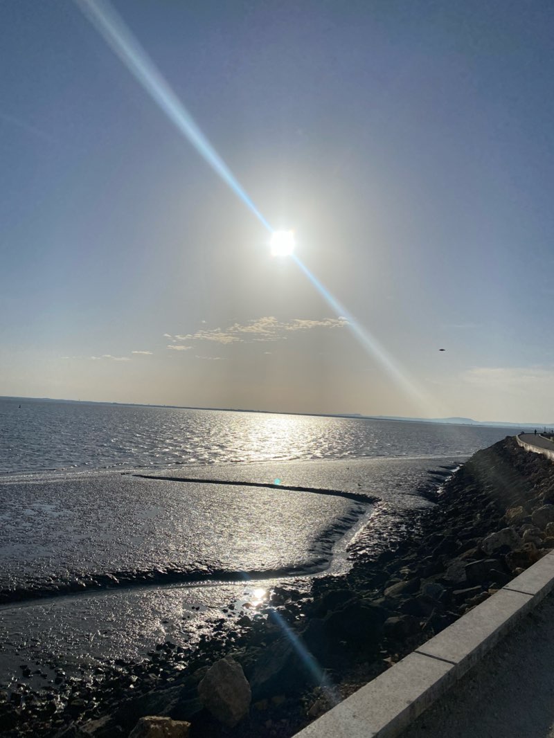 walking near me in Parque Ribeirinho Oriente in winter