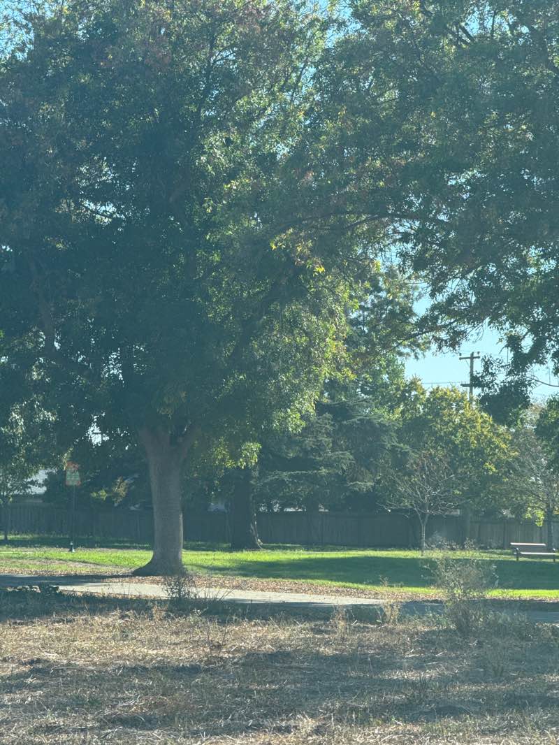 walking near me in Warm Springs Park in autumn