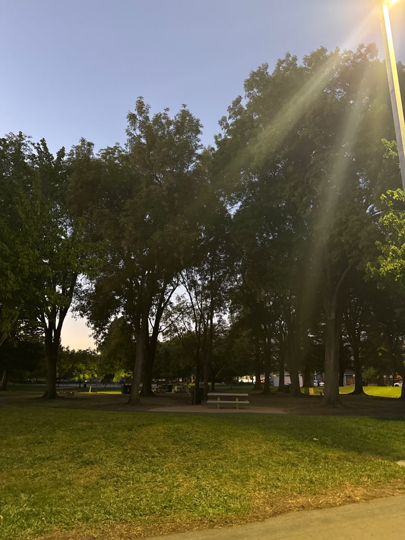 walking near me in Robert E. Browne Park in summer