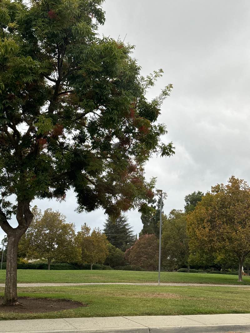 walking near me in Ben Rogers Park in summer