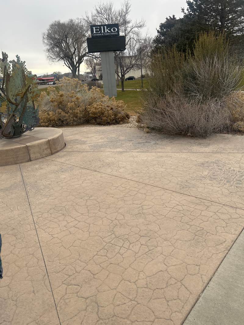 walking near me in Main City Park in winter