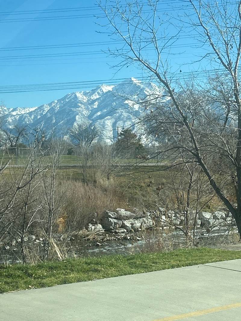 walking near me in Winchester Park in winter