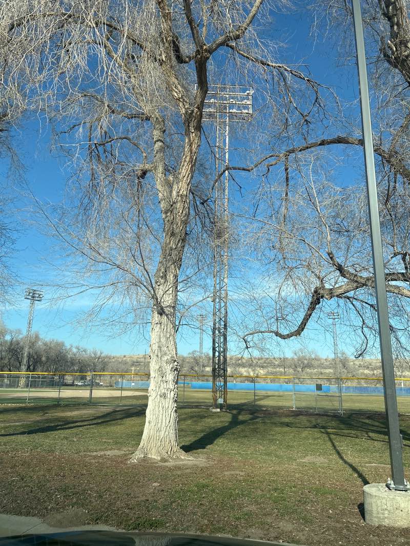 walking near me in Magna Copper Park in winter