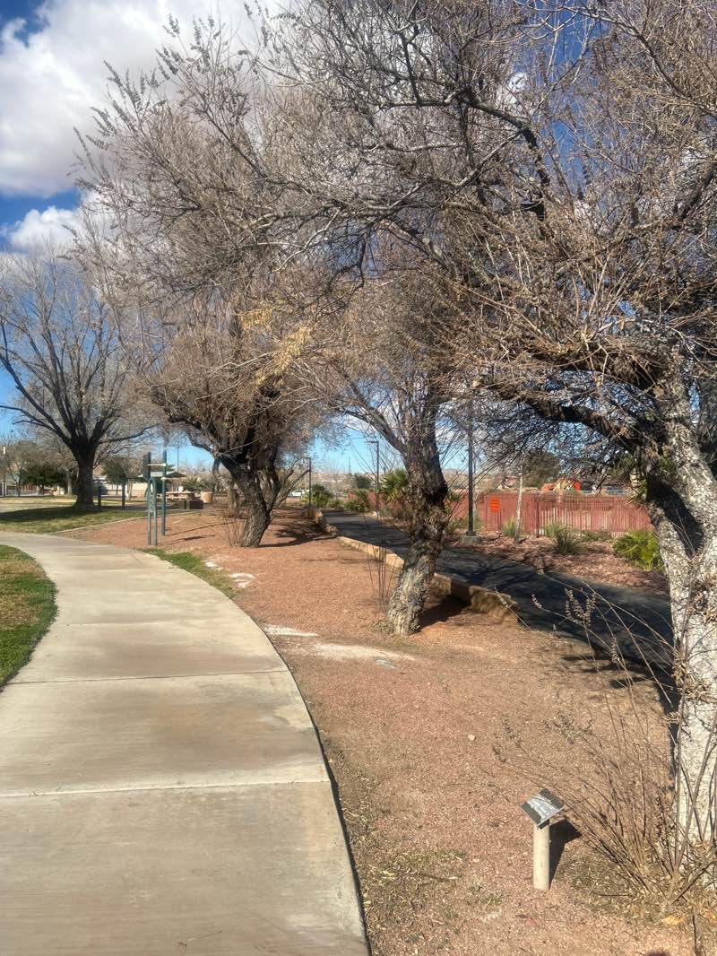 walking near me in Library Park in winter