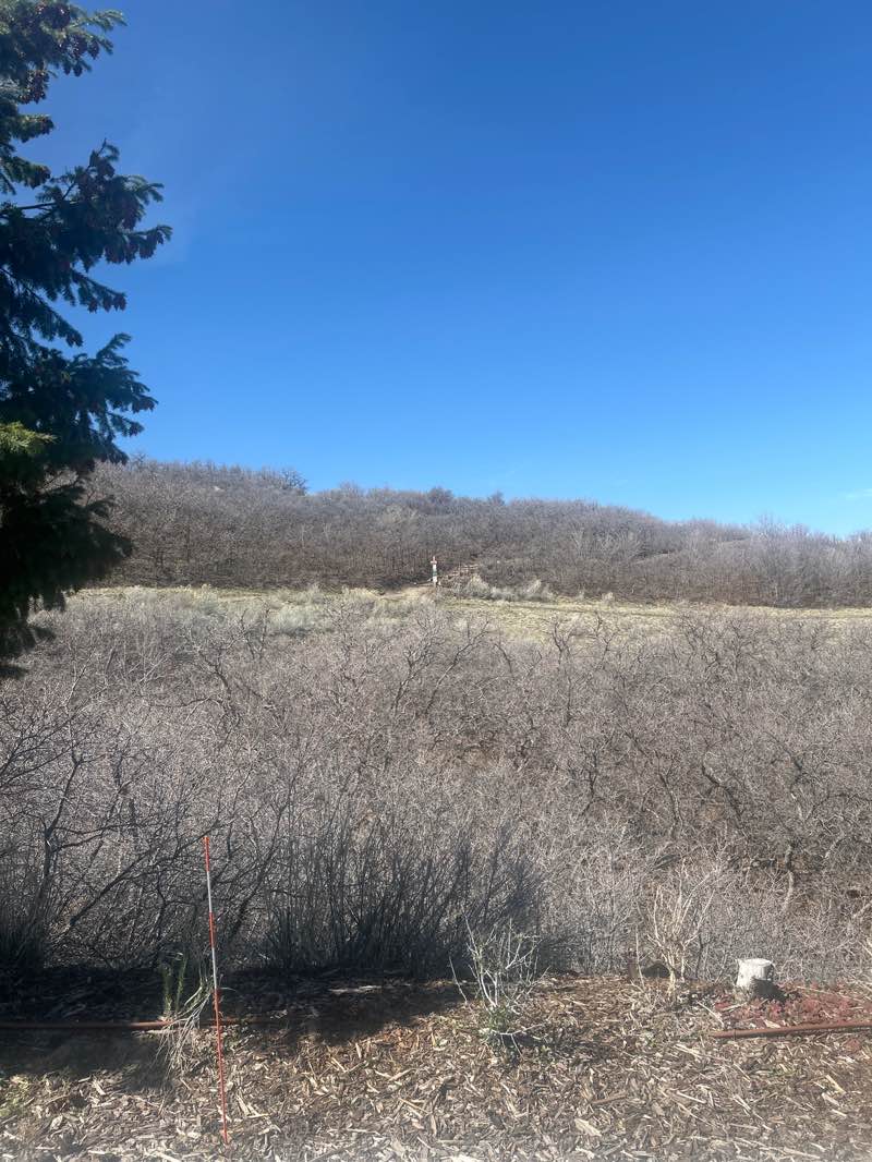 walking near me in Maple Hollow Trailhead Park in spring