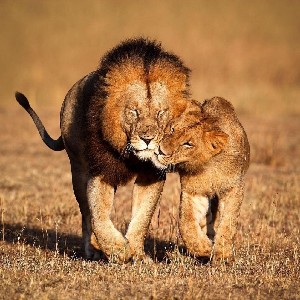 Garik 🔥🌻👋🙏