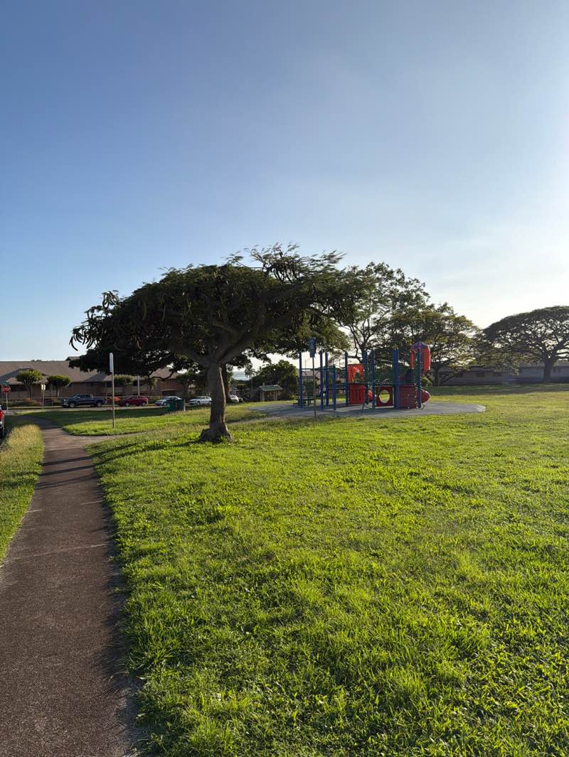 walking near me in Waiau Gardens Park in winter