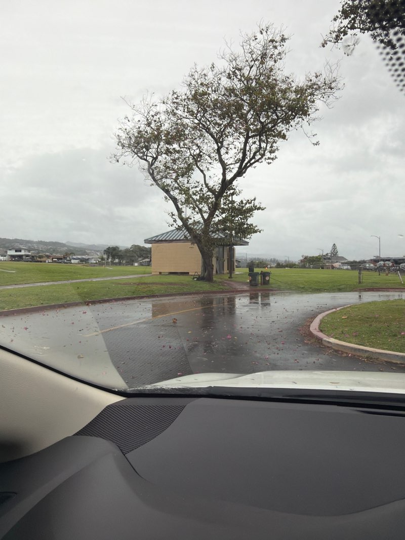 walking near me in Waiau District Park in spring