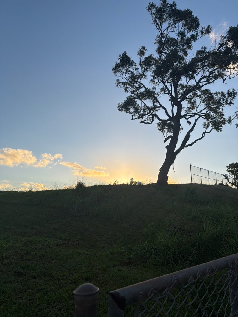 walking near me in Waiau Neighborhood Park in spring