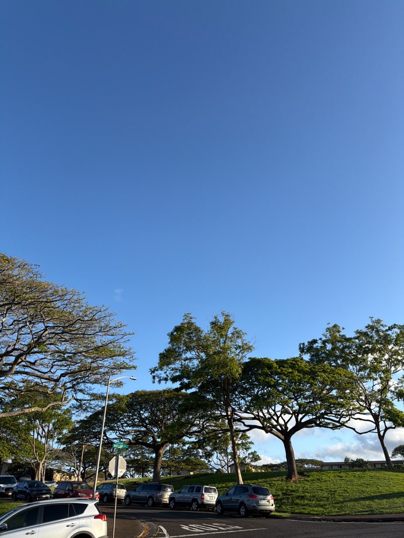 walking near me in Waiau Gardens Park in spring