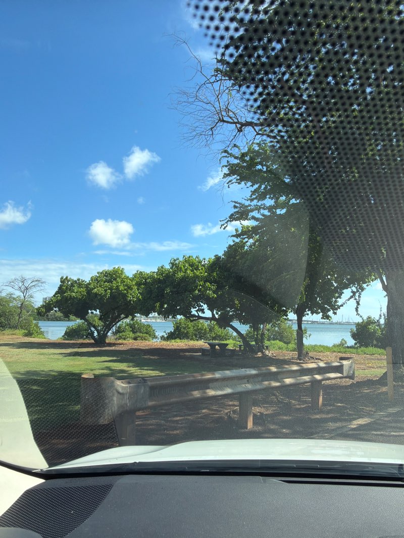 walking near me in Aiea Bay State Recreation Park in spring