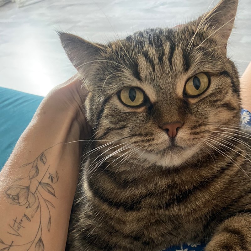 Vika 🏔🇺🇦🕊