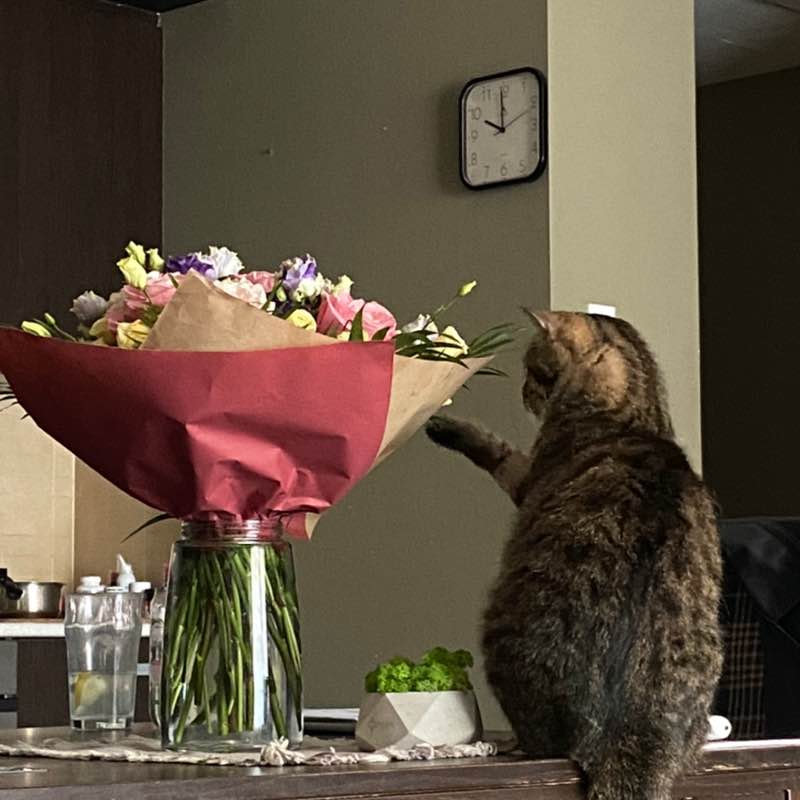 Vika 🏔🇺🇦🕊 post 3