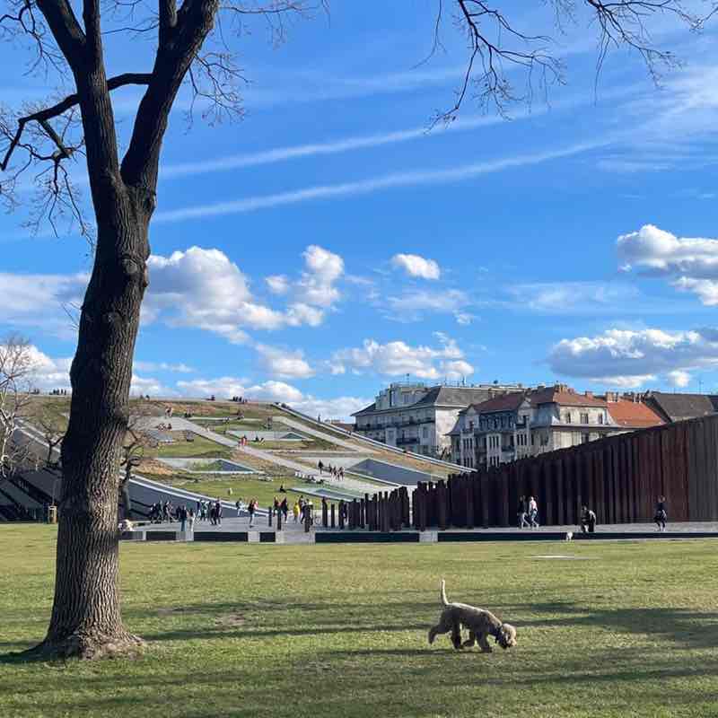 Vika 🏔🇺🇦🕊 post 1