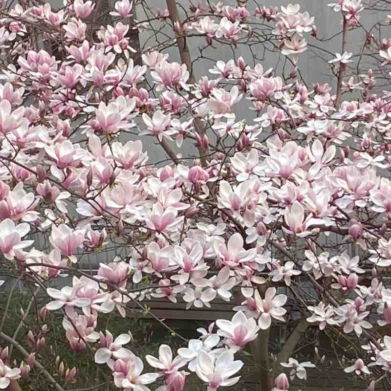 Vika 🏔🇺🇦🕊 post 2