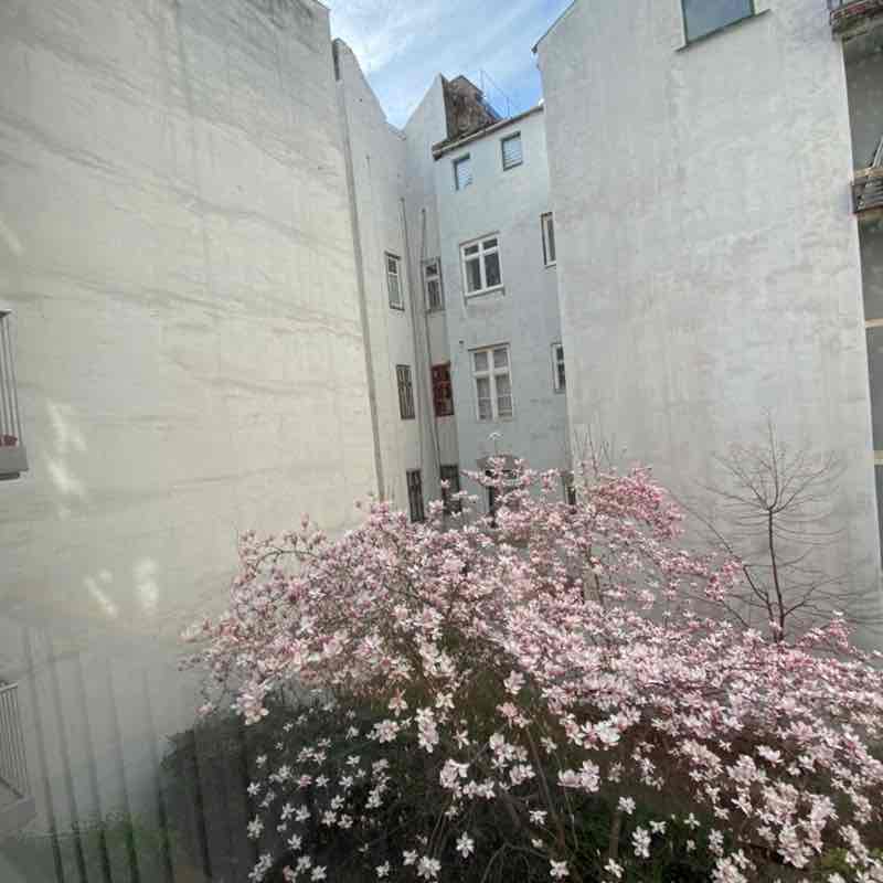 Vika 🏔🇺🇦🕊 post 3