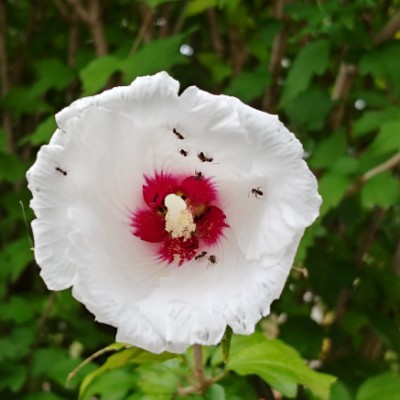 🌏🌎🌍HyoungKi👣형기 post 2