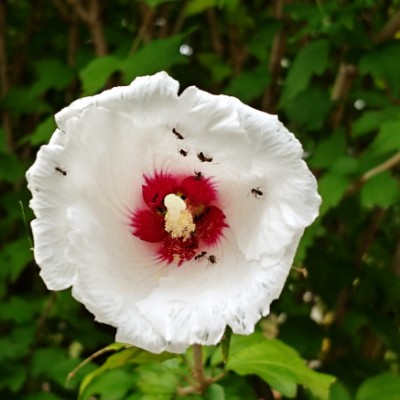 🌏🌎🌍HyoungKi👣형기 post 3